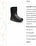 Сапоги Дюна